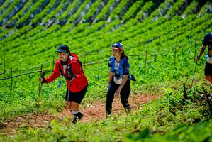 BIB: 
                            <button type="button" onclick="openModal(19163591)" class="btn btn-primary btn-sm float-right btn-popup" data-toggle="modal" data-target=".modal-high-quality">
                        <i class="fas fa-shopping-cart"></i> Add to Cart
                    </button>
                                            <button type="button" onclick="isThisMe(19163591, true)" class="btn btn-success btn-sm float-right btn-popup btn-isme hidden" data-toggle="tooltip" data-placement="bottom" title="นี่คือรูปของคุณใช่ไหม คลิกที่นี่เพื่อเอาเข้าอัลบั้ม">
                        <i class="fas fa-plus"></i> Add to album
                    </button>
                    <button type="button" onclick="isThisMe(19163591, false)" class="btn btn-warning btn-sm float-right btn-popup btn-isnotme hidden">
                        <i class="fas fa-ban"></i> Remove from album
                    </button>